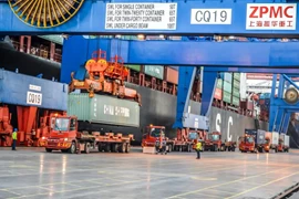 Suez Canal Container Terminal  (SCCT) extends Terberg fleet